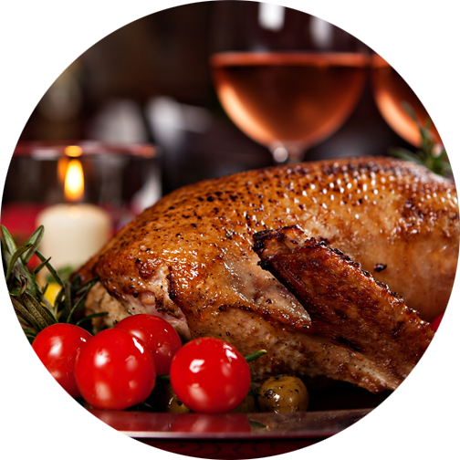 shutterstock_1147075247